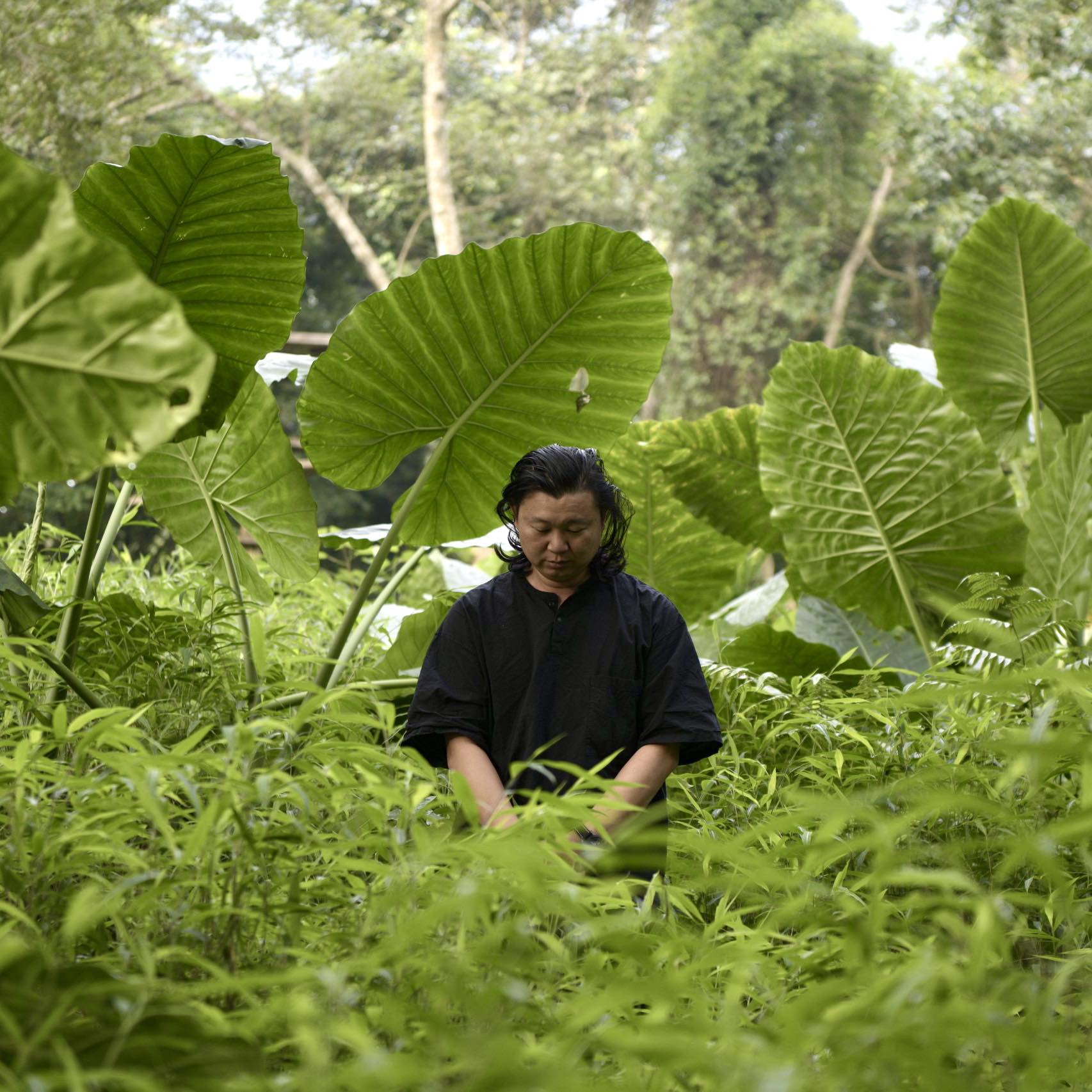 VŨ NAM DƯƠNG