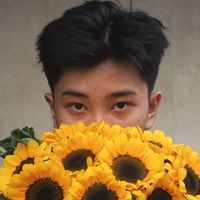 Trần Nam Anh